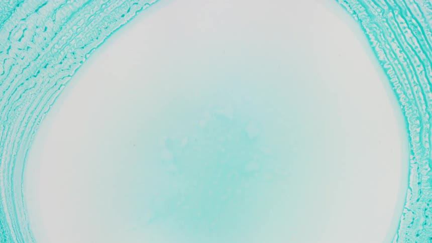 weird chemical reaction of a green substance