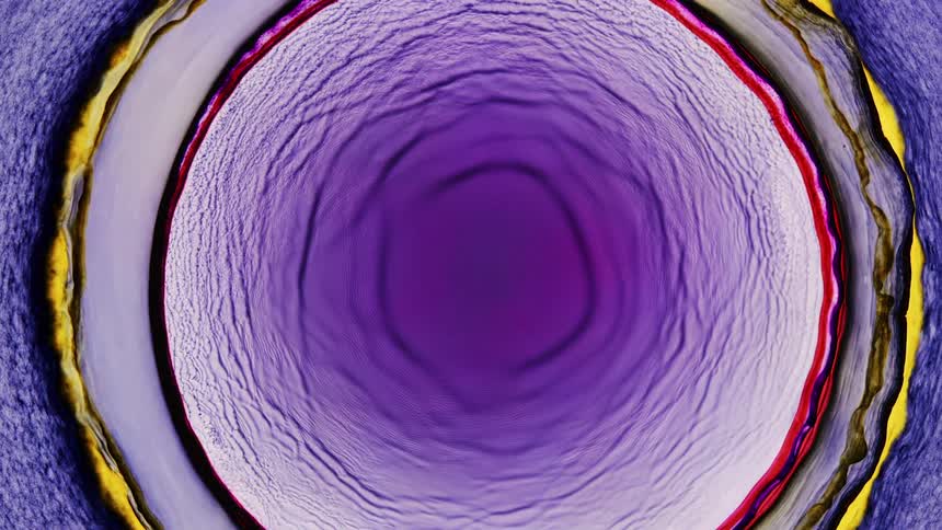 Purple black white red and yellow rings grow in texture and patters as they grow outwards