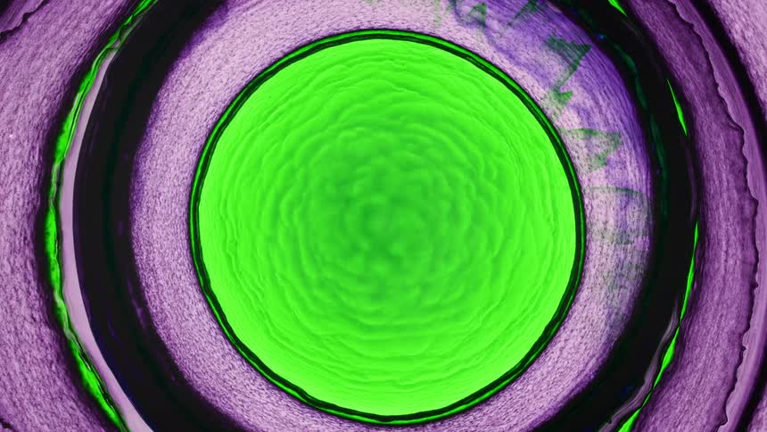 A bright green circle grows inside lavender and black rings