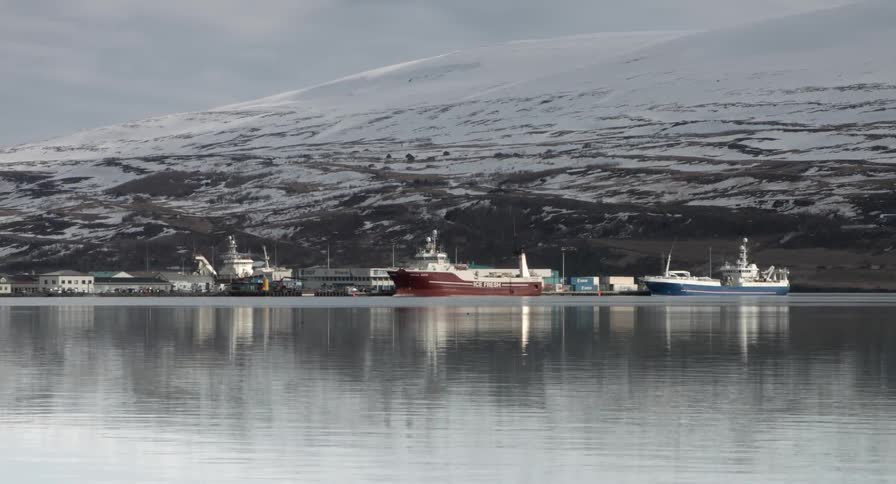 Boats are docked near a hillside covered with snow