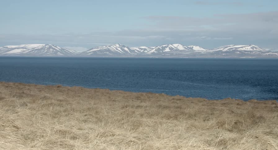 A yellow field leading to a body of water in front of some mountains