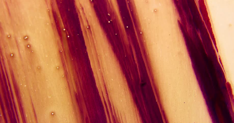White paint dripping down a background with red streaks on it