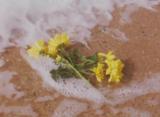 A small bouquet of yellow flowers is laying on the beach when water rushes in and covers the flowers with bubbly water in the daytime
