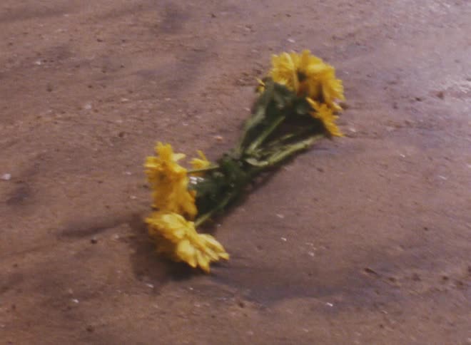 A bouquet of yellow flowers rests on the beach