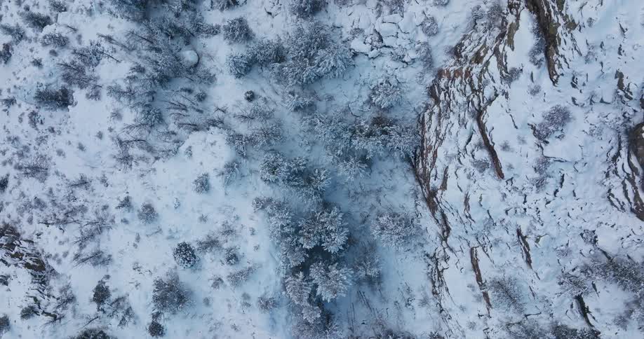 Aerial view of a snow covered mountain cliff and snow covered trees and ground