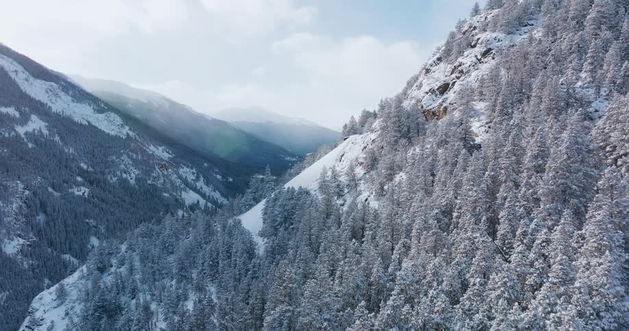 Aerial view of snowy mountain slope with trees and valley
