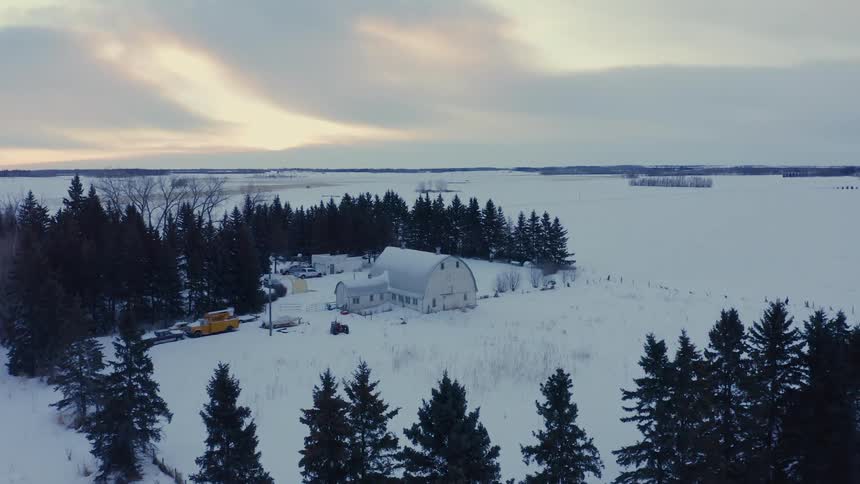 Tall pine trees around snow covered farmland with a house and many vehicles parked on a winter day