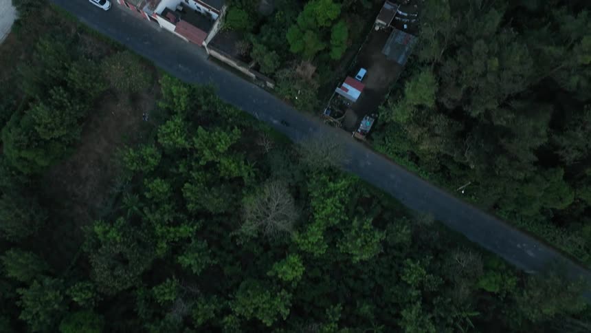 Aerial view of trees and buildings in a forested neighborhood as cars travel on the streets