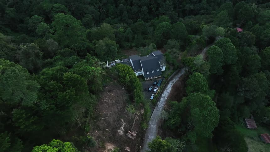 The house is surrounded by a forest