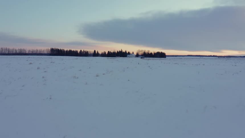 A blanket of snow covers a desolate field near a forest