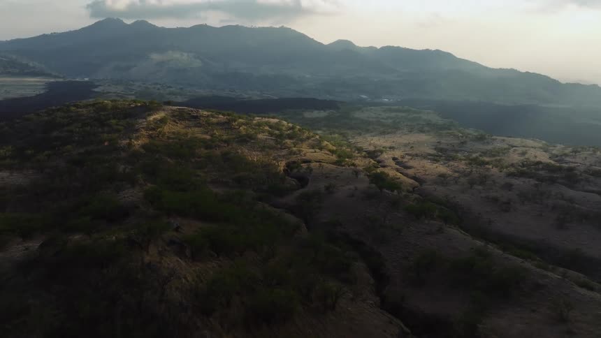 Trees and plants growing on rough terrain and a mountain ridge on the horizon under a cloudy sky