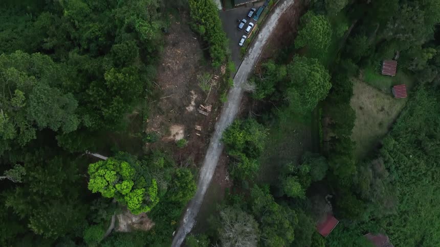 Birds eye view of road going through forest near a large residential property