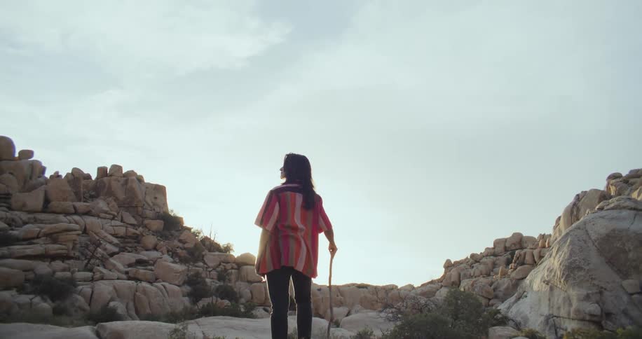 A hiker stands on a boulder in a canyon with a walking stick