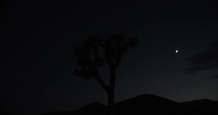 Silhouette of a tree and mountains with a half moon in the night sky