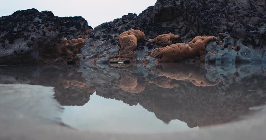 The coral is on the beach