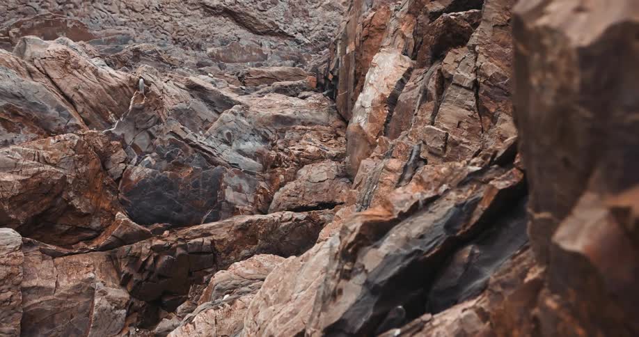 Rough terrain on the side of a mountain cliff