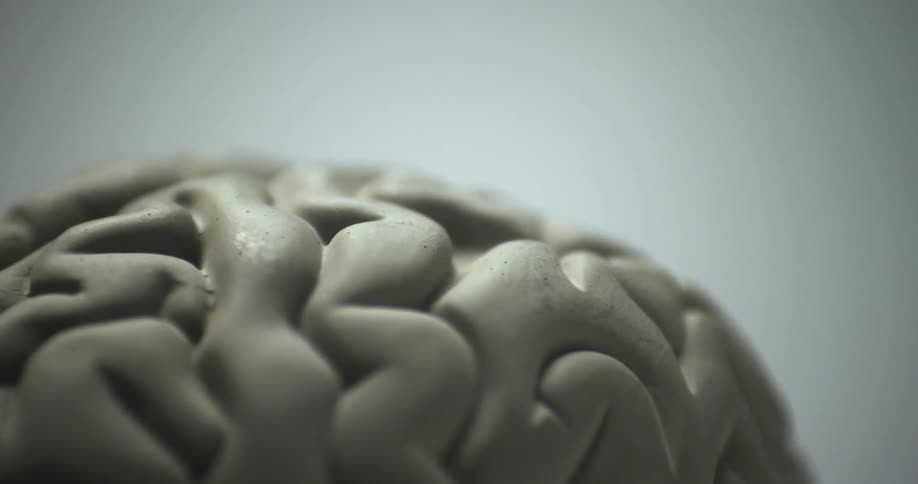 A clay object is displayed near a wall