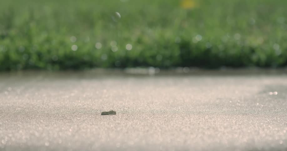 Tiny earthworm crawling in the asphalt at a sunny day