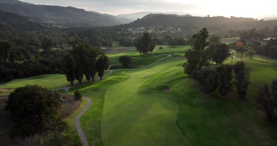 Trees stand near the greens of the golf course under the bright sun