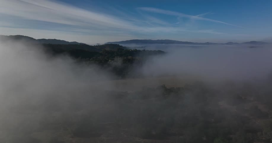 Trees can be seen through the thick fog as waves roll onto shore and there are mountains on the horizon