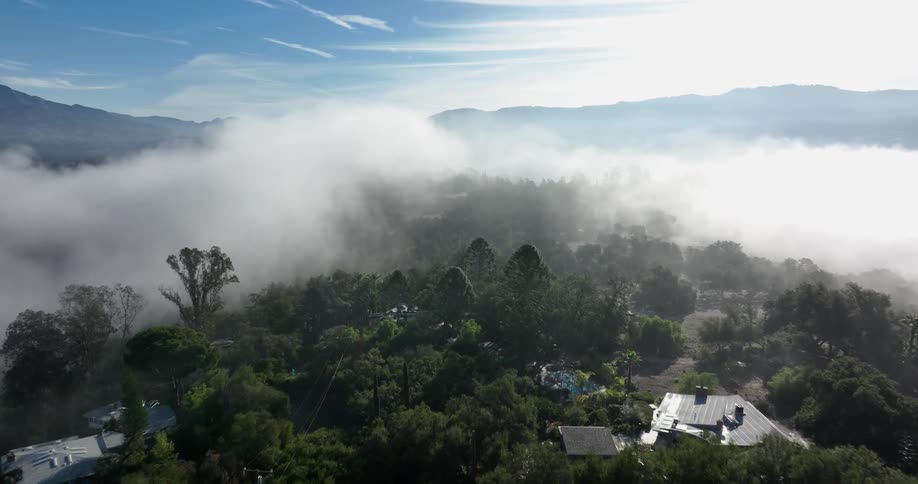 Fog covers a forested neighborhood with mountains on the horizon