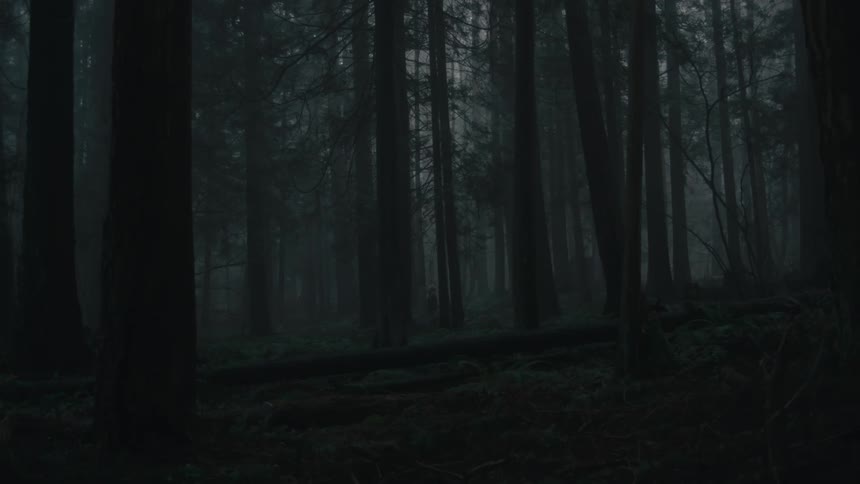 A hiker walks through the woods on a dark gray day