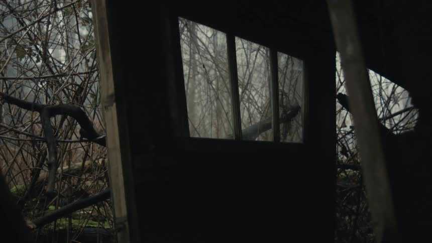 Fog covers the forest outside the shelter