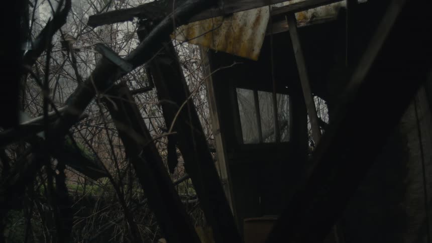 A broken down shed in a wooded area is displayed
