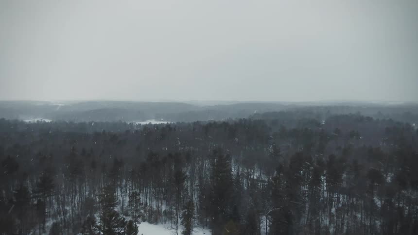 Aerial view of it snowing in the forest area