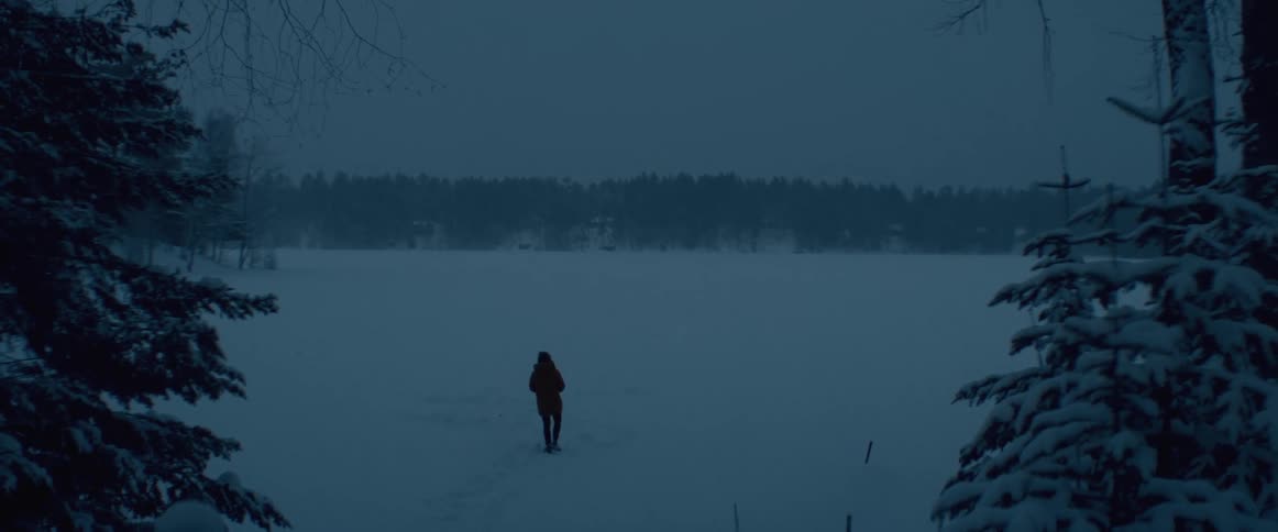 A person is walking in an arctic area at night