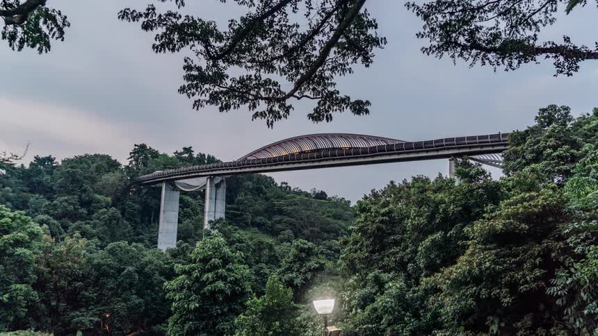 People walk across the henderson waves pedestrian bridge while cars travel on the highway below