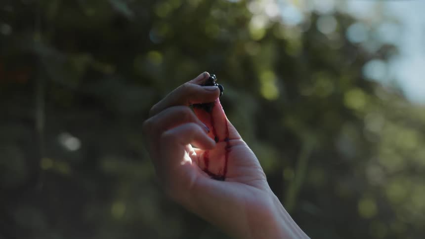 A person squeezes a berry between their fingers and juice runs down their hand