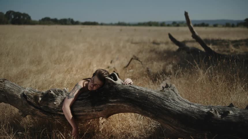 Tattooed woman resting over a dry log in the grassland at daytime