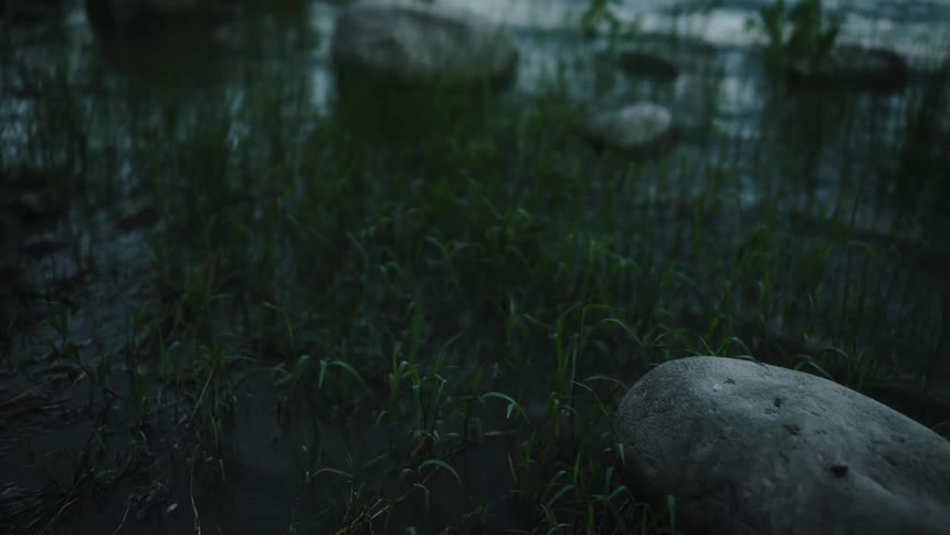 Grass growing on the banks of a lake near round rocks over the calm rippling water