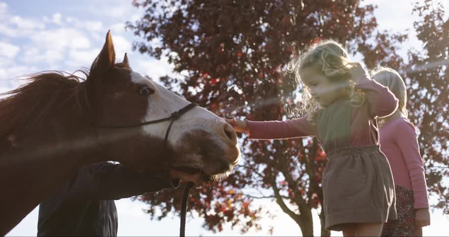 Adorable little girl pets a horse in the golden glow of a fall day