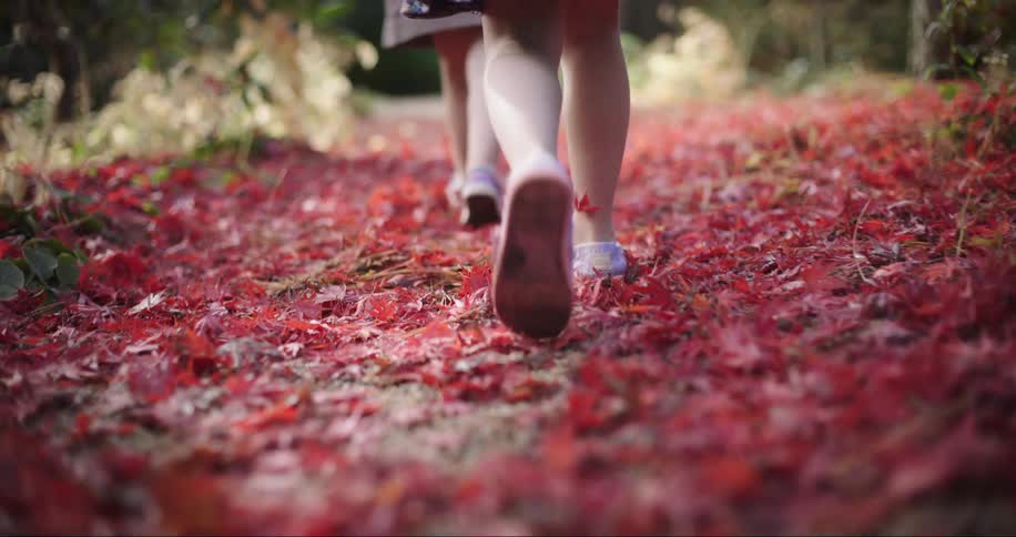 Two little girls walking through bright red fall leaves on a covered path
