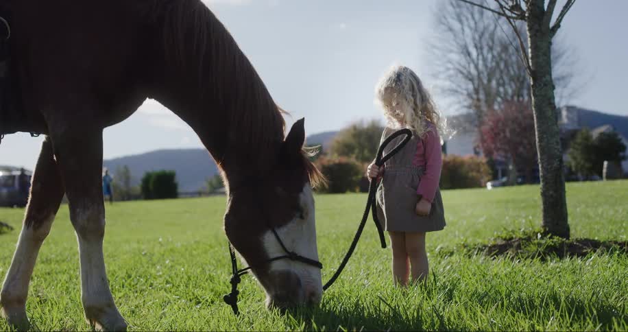 A little child holds the reins for a grazing horse on a beautiful sunny day in the mountains