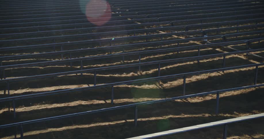 The sun shines brightly on solar panels on a solar farm