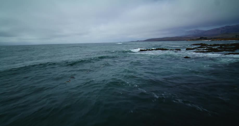 Seagulls fly over the water as waves roll in along the coastline and crash into the rocky shore