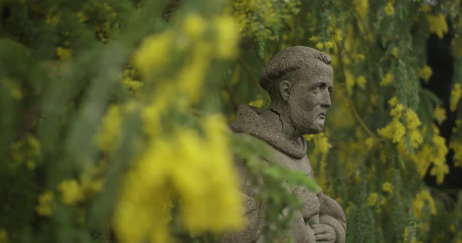 A statue sits near near hanging branches with yellow flowers