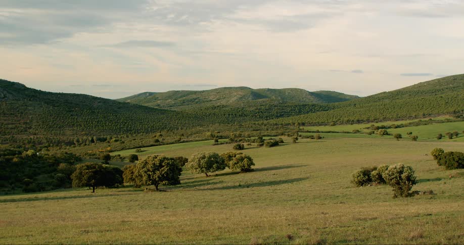 A flat grassland in front of rolling hills