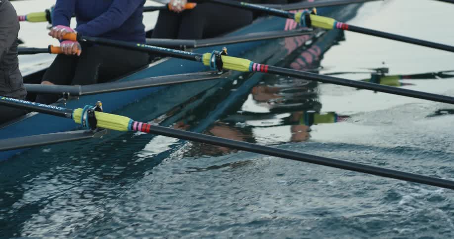 Four people are rowing the same boat