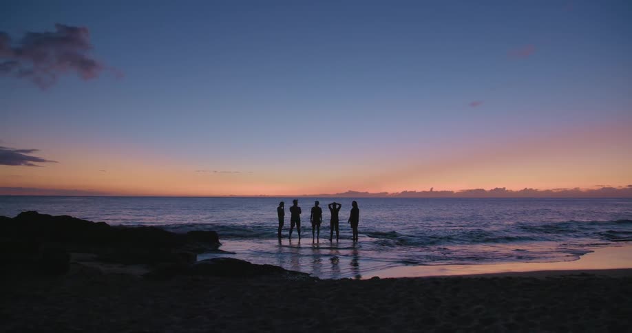 Silhouette of friends standing in the shoreline watching sunset at the beach