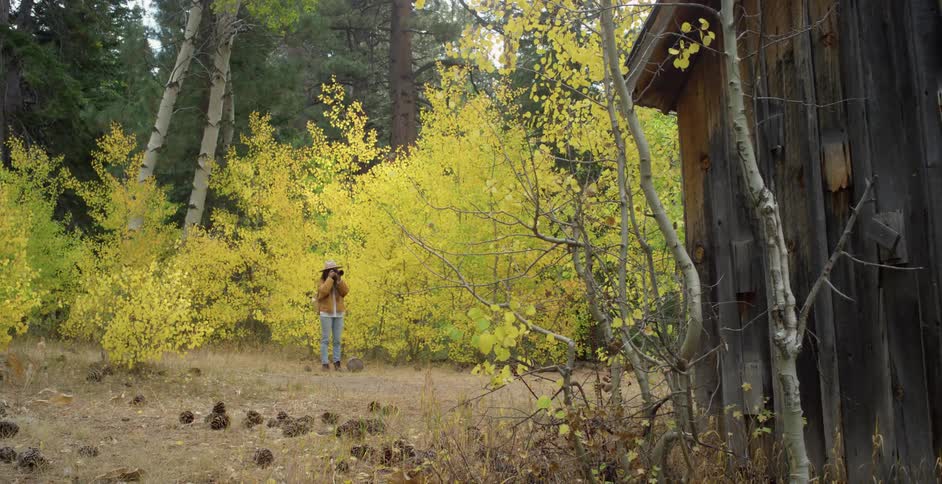A long haired teenage girl wearing a sun hat and a backpack is taking pictures of an old shed in the woods