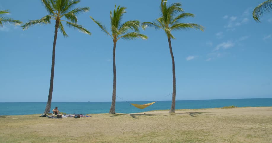 A man is sitting alone on a beach with palm trees and a hammock tied to two of the trees