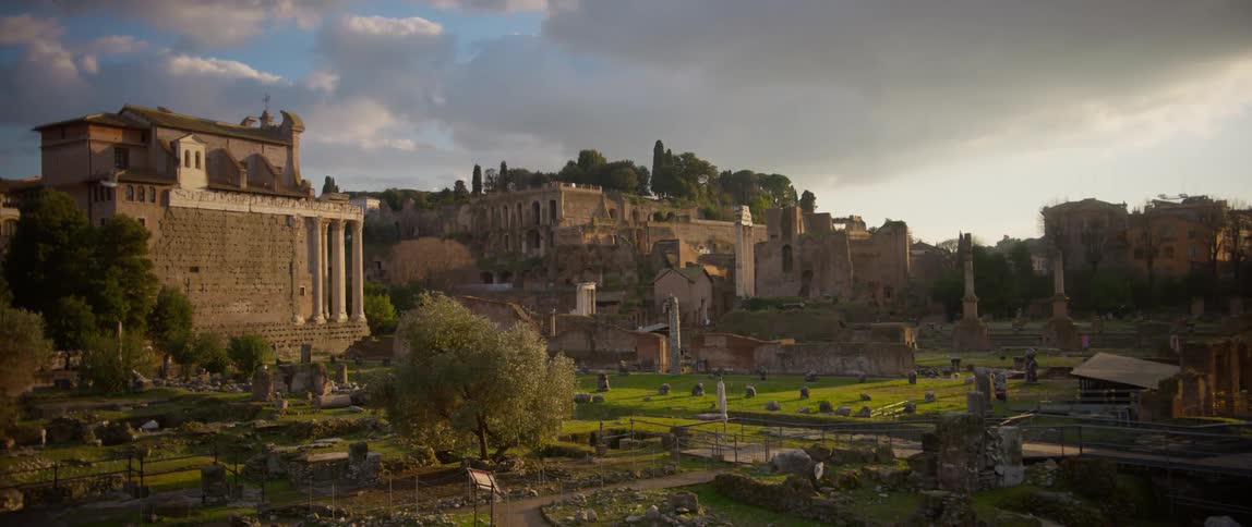 The buildings and grounds near palantine hill in rome