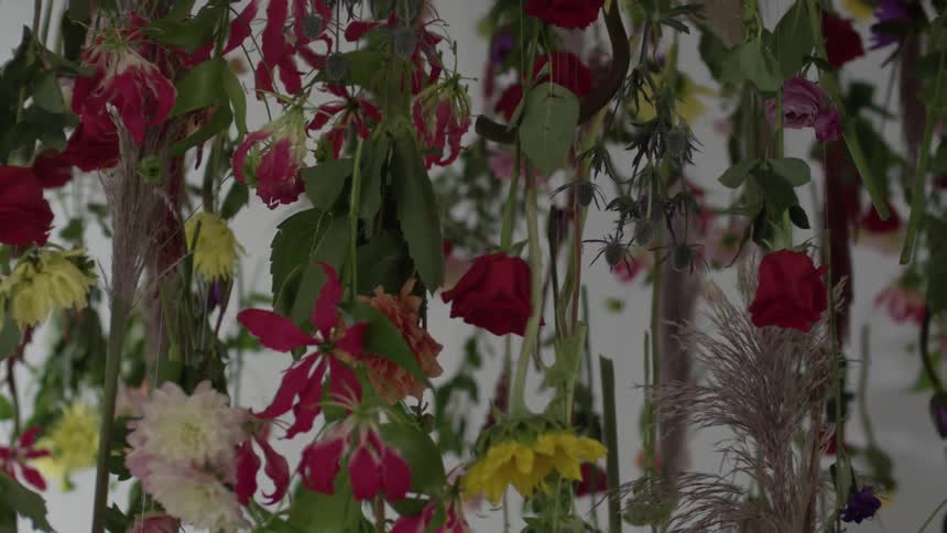 Vines hang with yellow white and red flowers