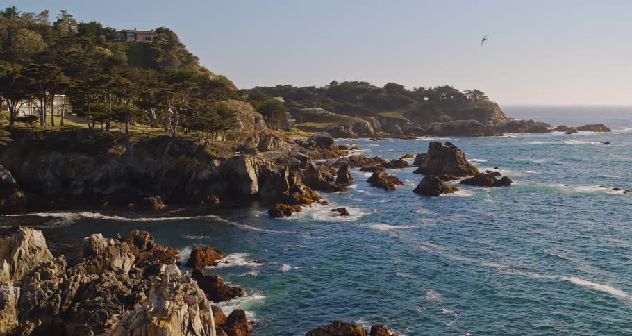 Waves roll in to cliffs along the shore as a bird flies above