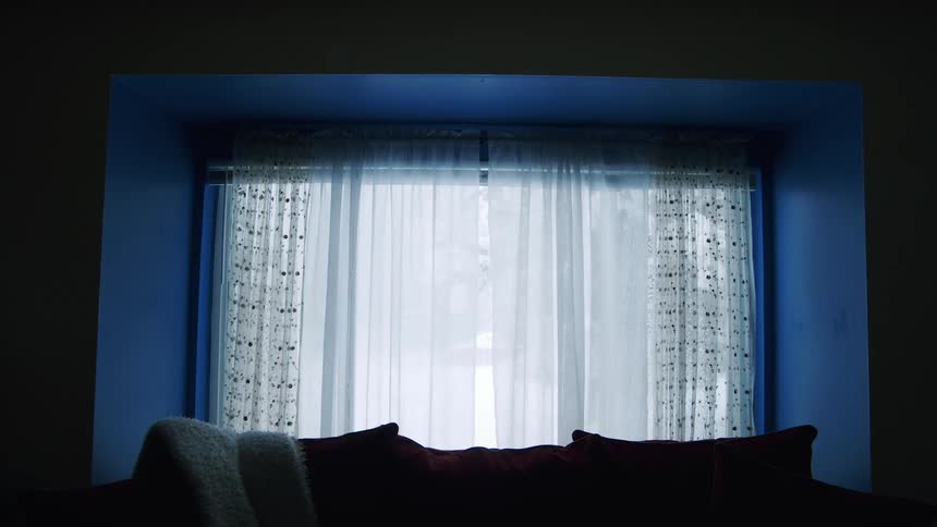 A couch is shown in a house near a window