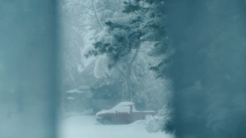 Snow covers the ground and the trees and a pickup truck in the winter